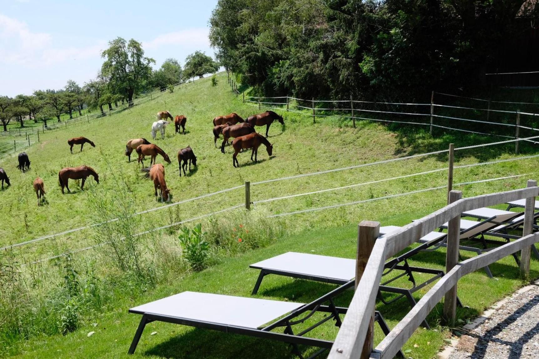 Trautesheim Ferienwohnungen Wangen im Allgäu Exterior photo