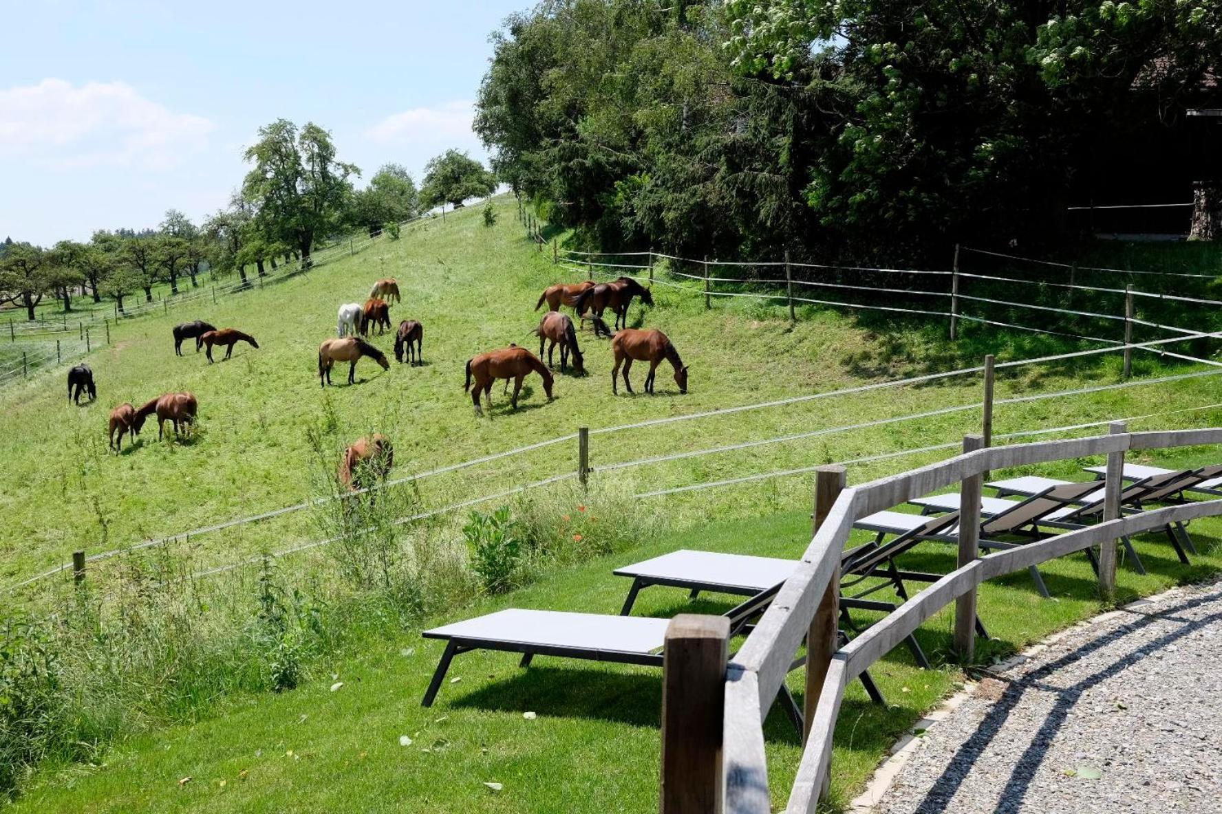 Trautesheim Ferienwohnungen Wangen im Allgäu Exterior photo